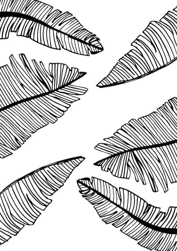 Banana Leaves I Line