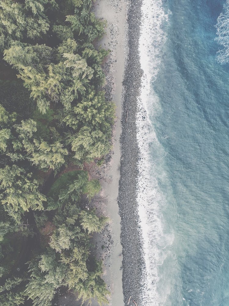 Pacific Northwest Ocean