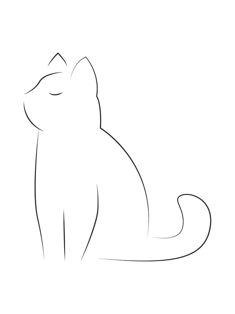 Drawing A Cat