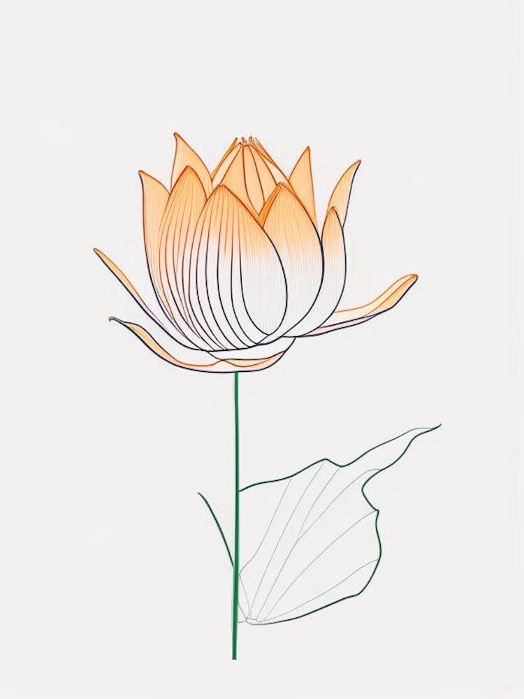 Lotus Flower In Garden Minimal Line Drawing 1