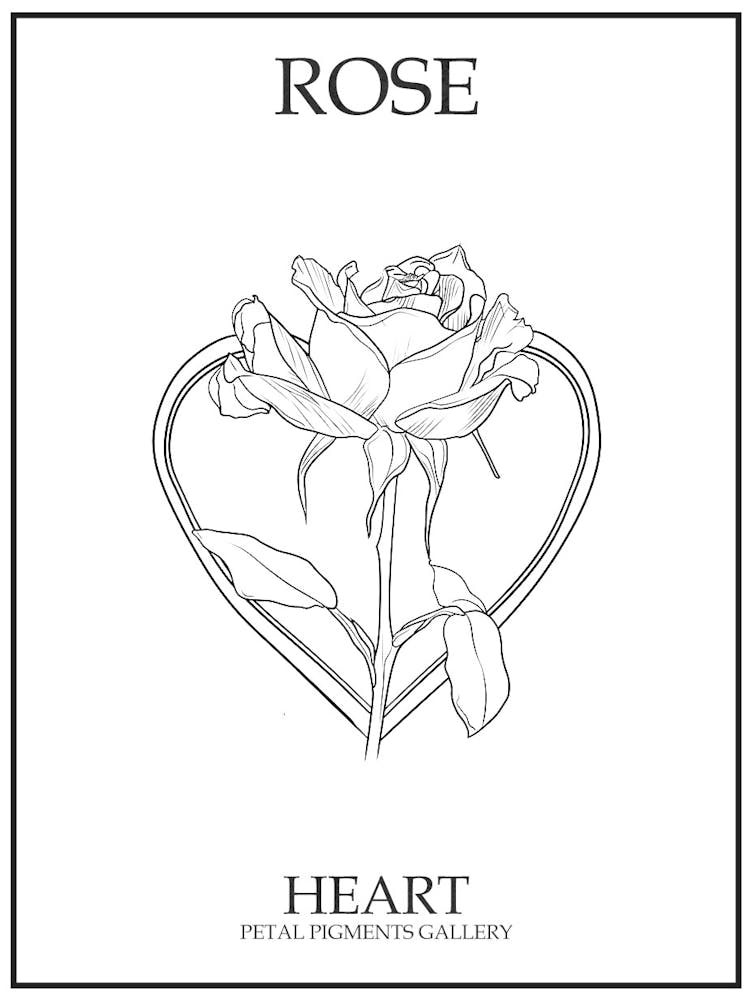 Rose Heart Line Drawing 3 Poster