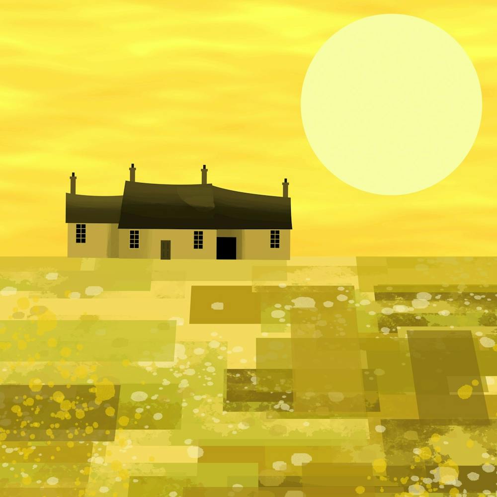 Goldene Felder 1
