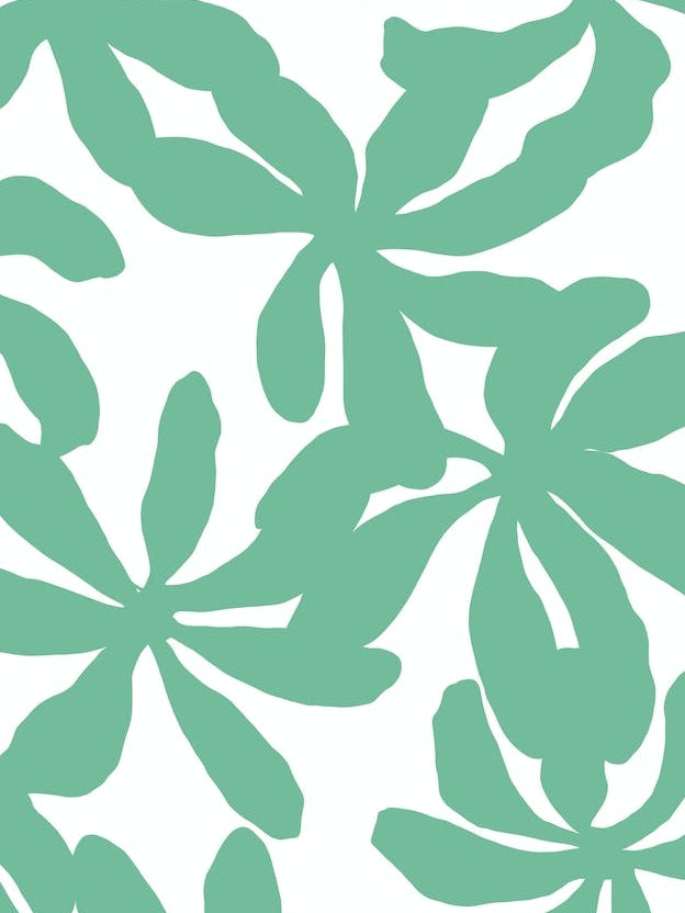 Orchids In Turquoise