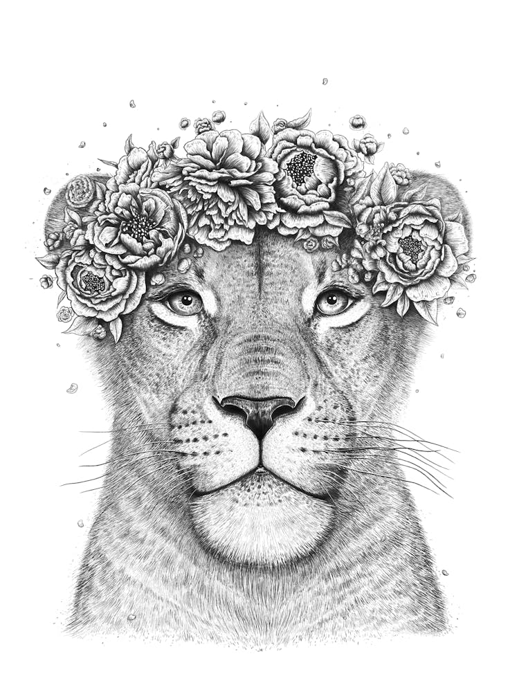 Lioness With Flowers