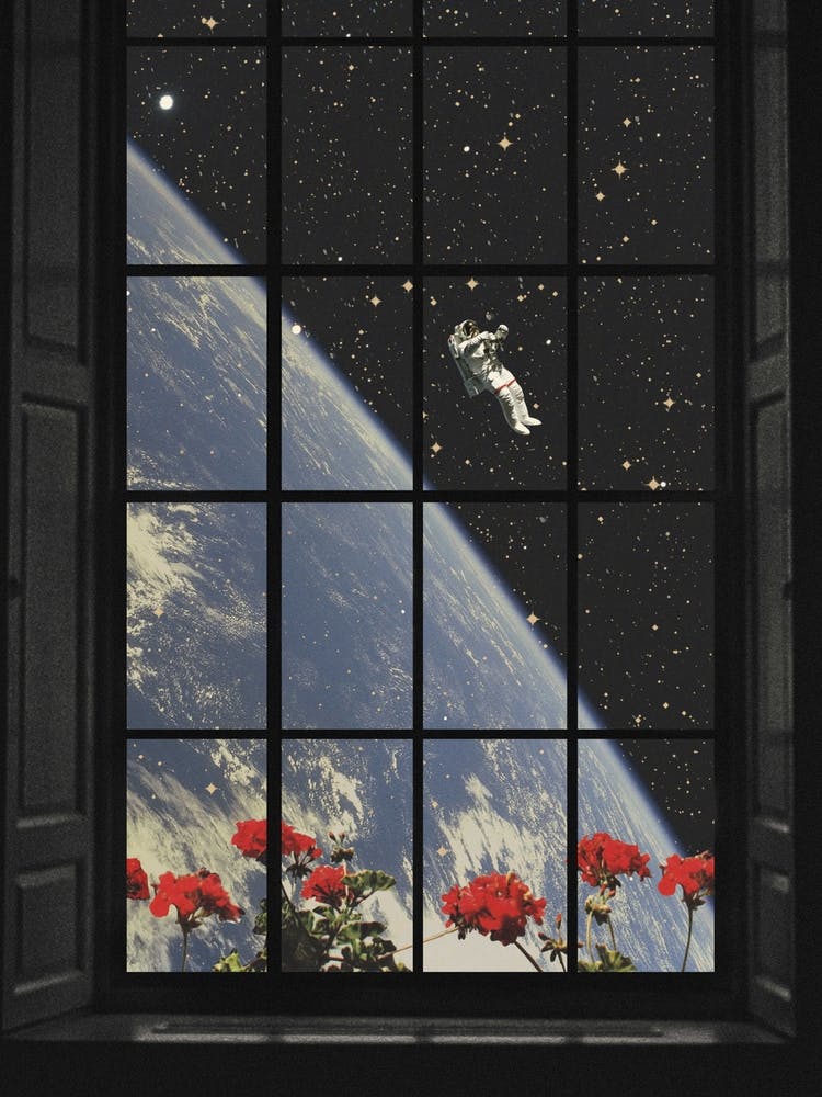 Home View