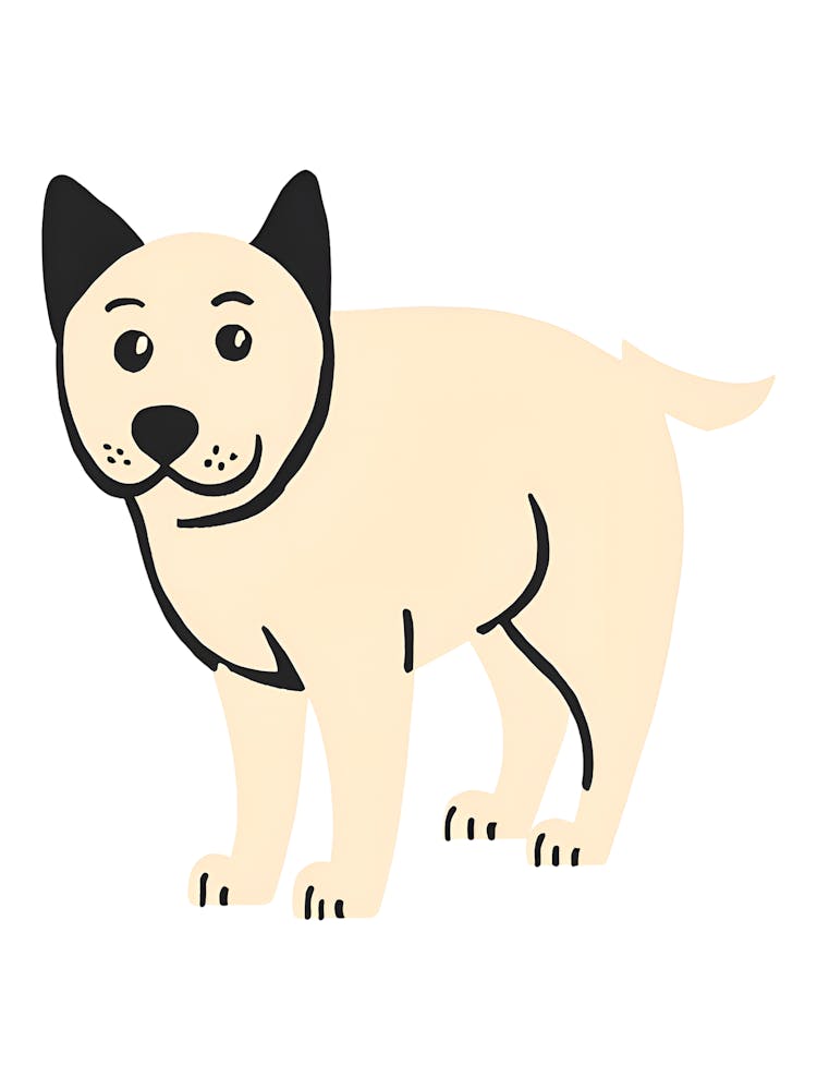 Chihuahua Dog