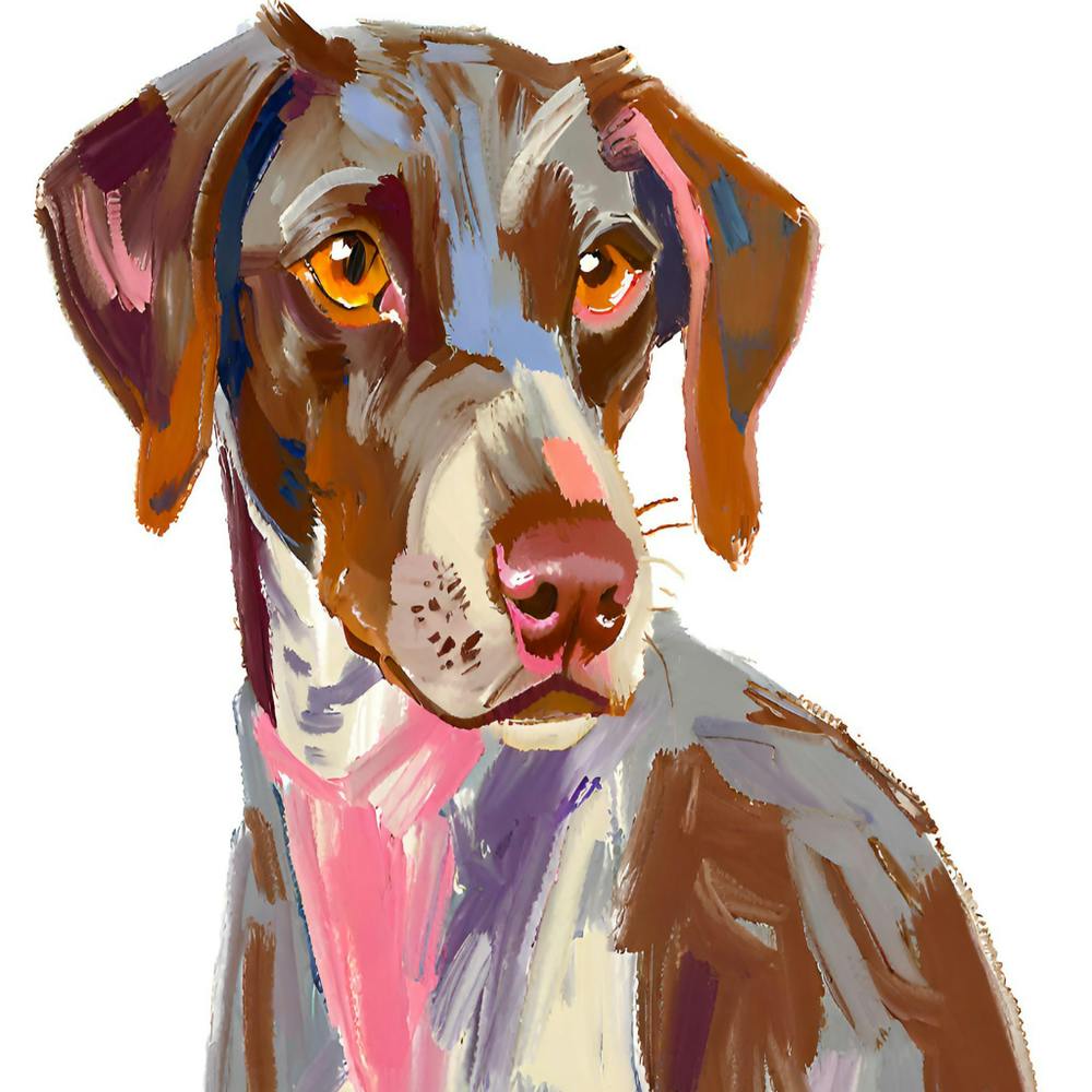 German Shorthaired Pointer 01