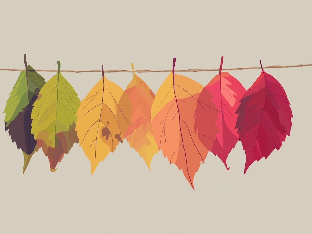 623938d5 8e8d 451d 8d6c 06c73e8c63ab 1 201 A