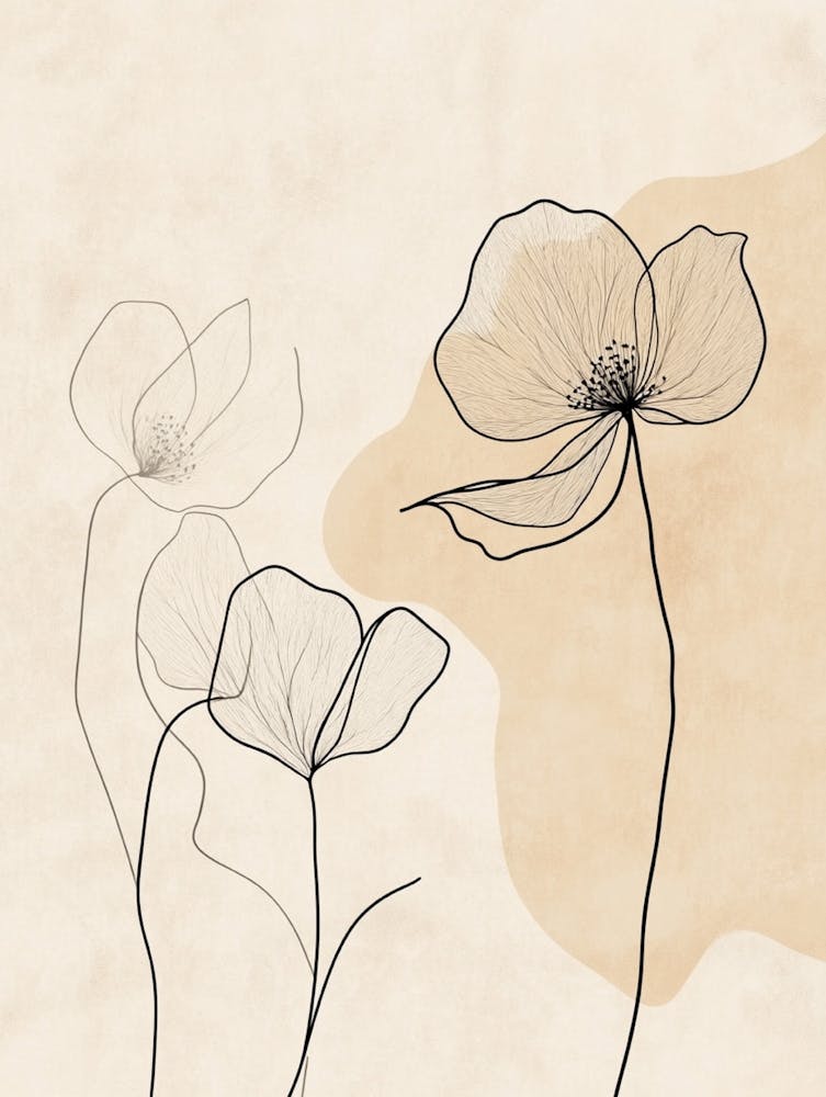 Poppies