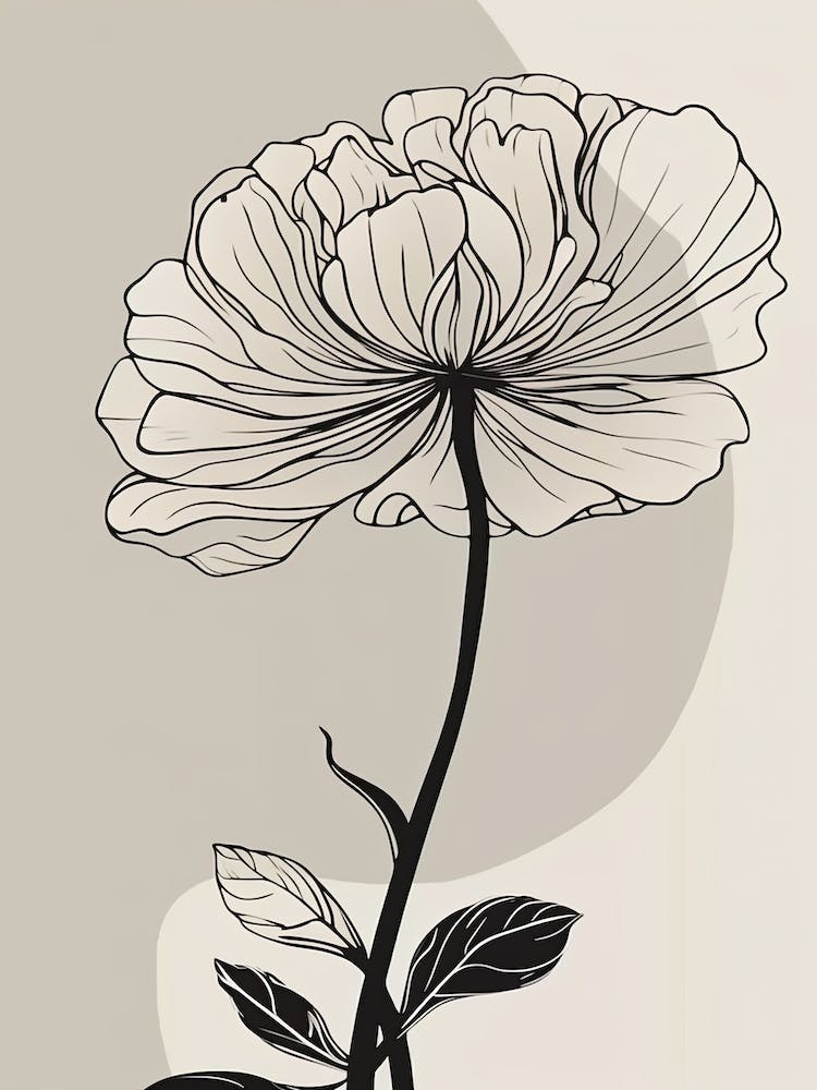 Line Art Marigold Flowers Illustration Neutral 16