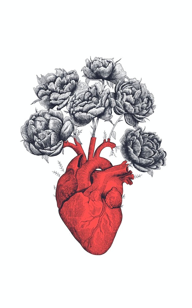 Heart With Peonies