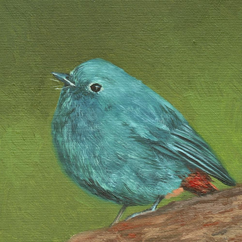 Blauer Vogel