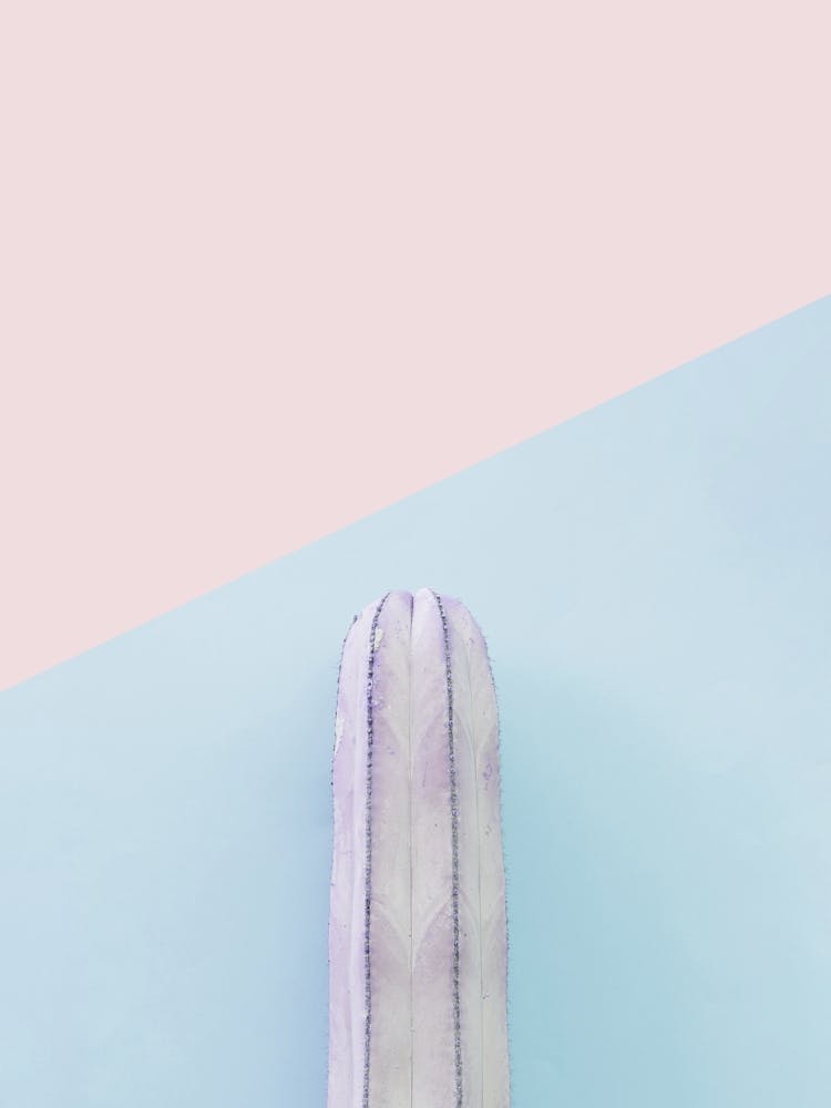 Minimalist floral art 2