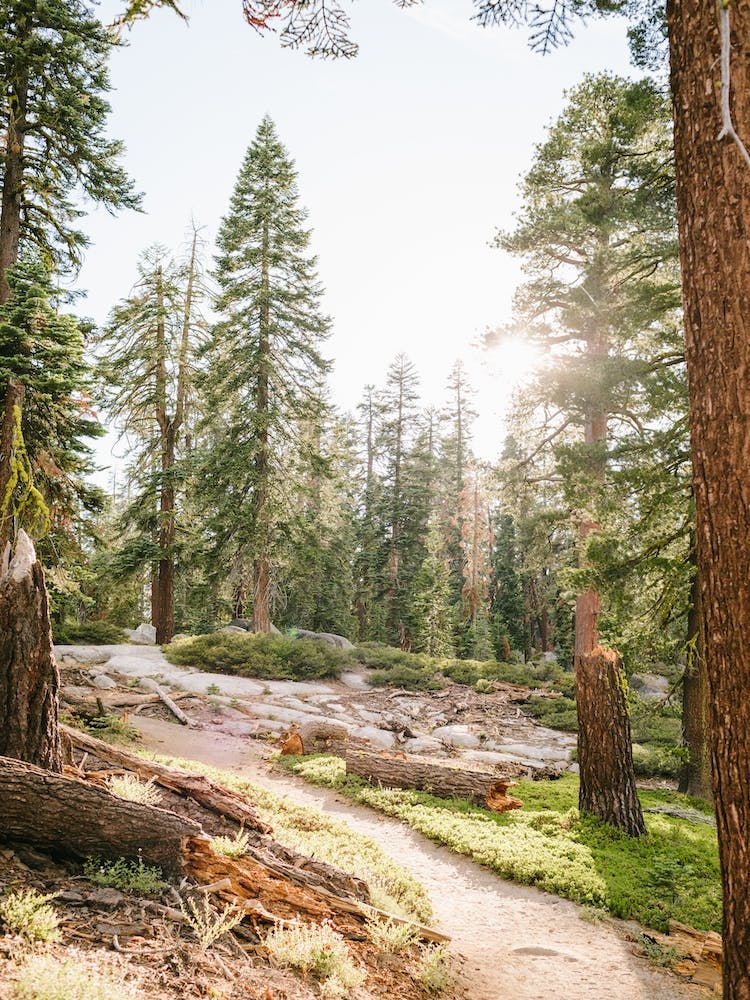 National Parks Yosemite