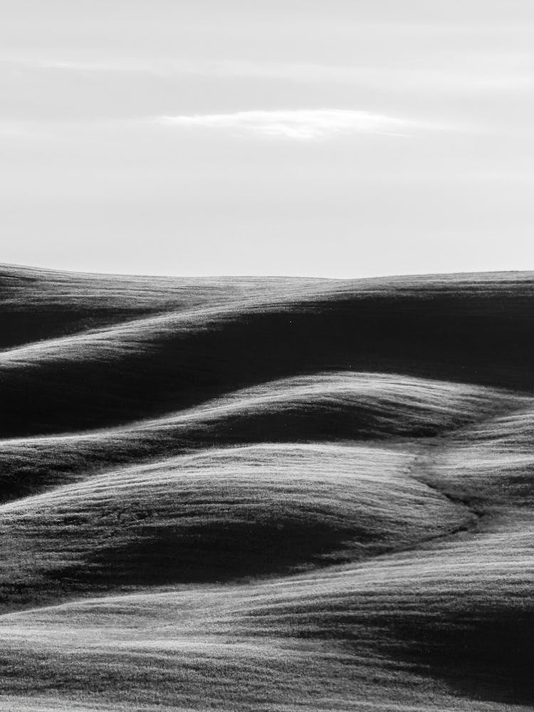 Italy Tuscany Rolling Hills 3 Bw