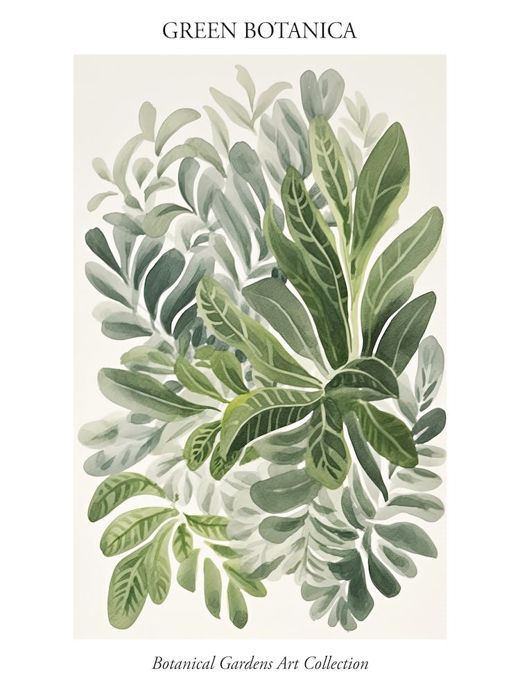 Green Botanica Collection 2