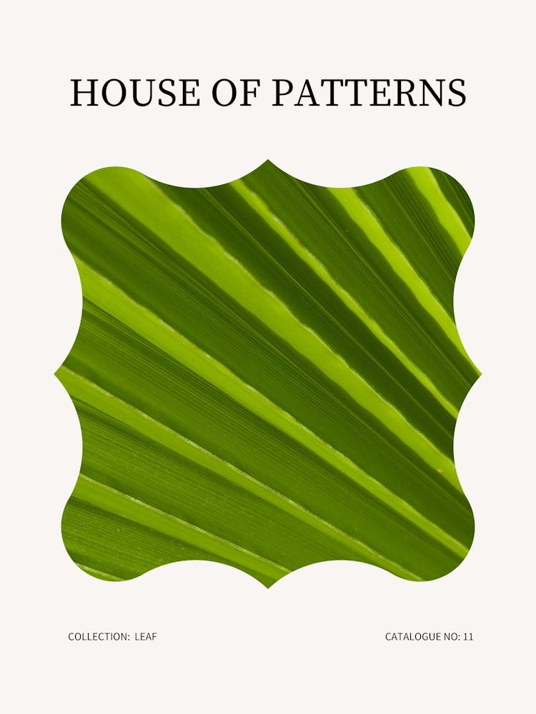 Leaf Pattern Poster 10