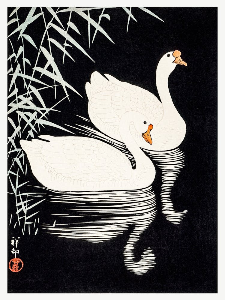 White Chinese Geese Swimming By Reeds, Ohara Koson
