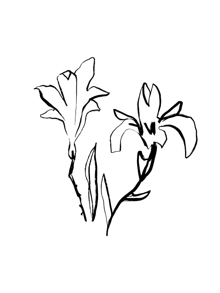 Lily Of The Valley 7