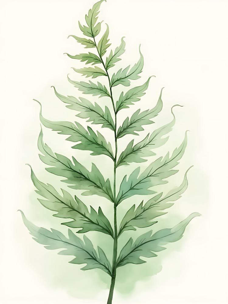 Whispering Sage Garden Shapes