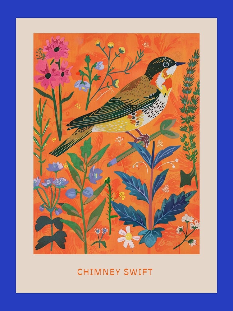 Frühlingsvögel Poster Schornsteinsegler 5