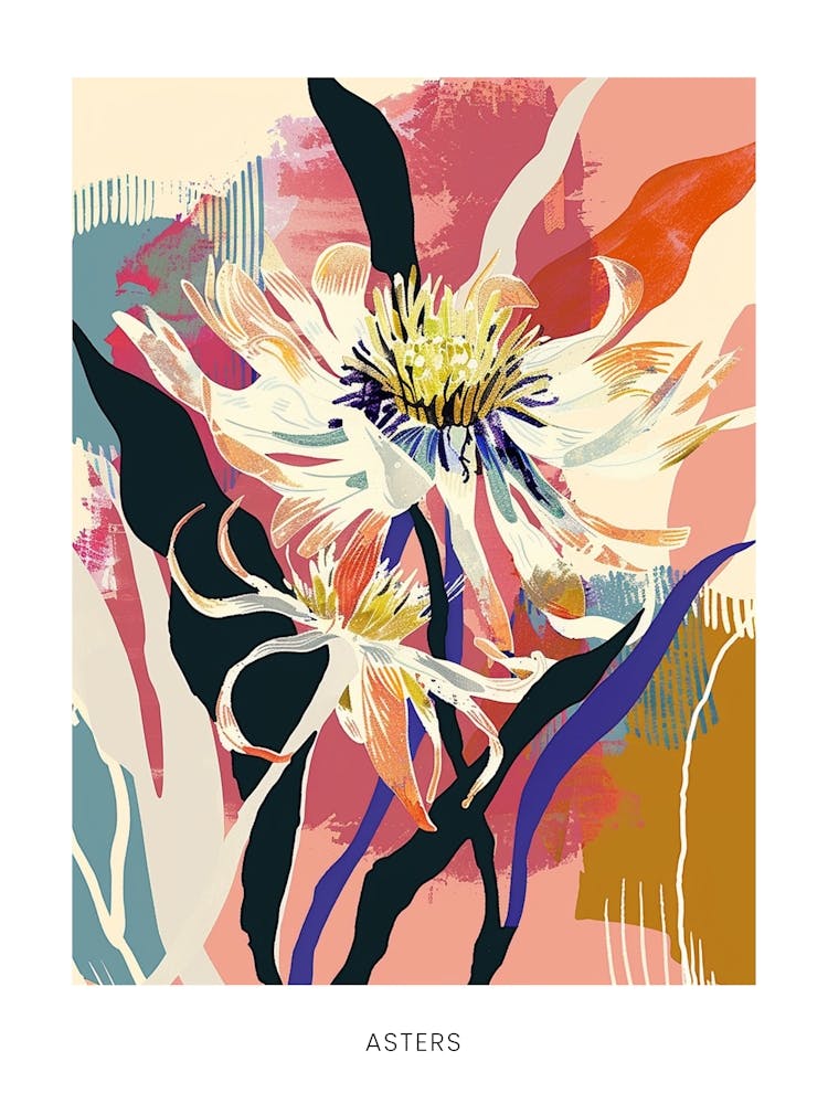 Colourful Flower Illustration Poster Asters 7