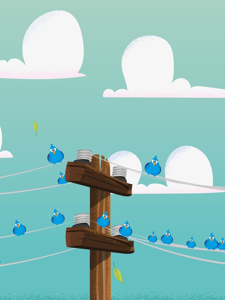 Cute cartoon birds on a telegraph line.