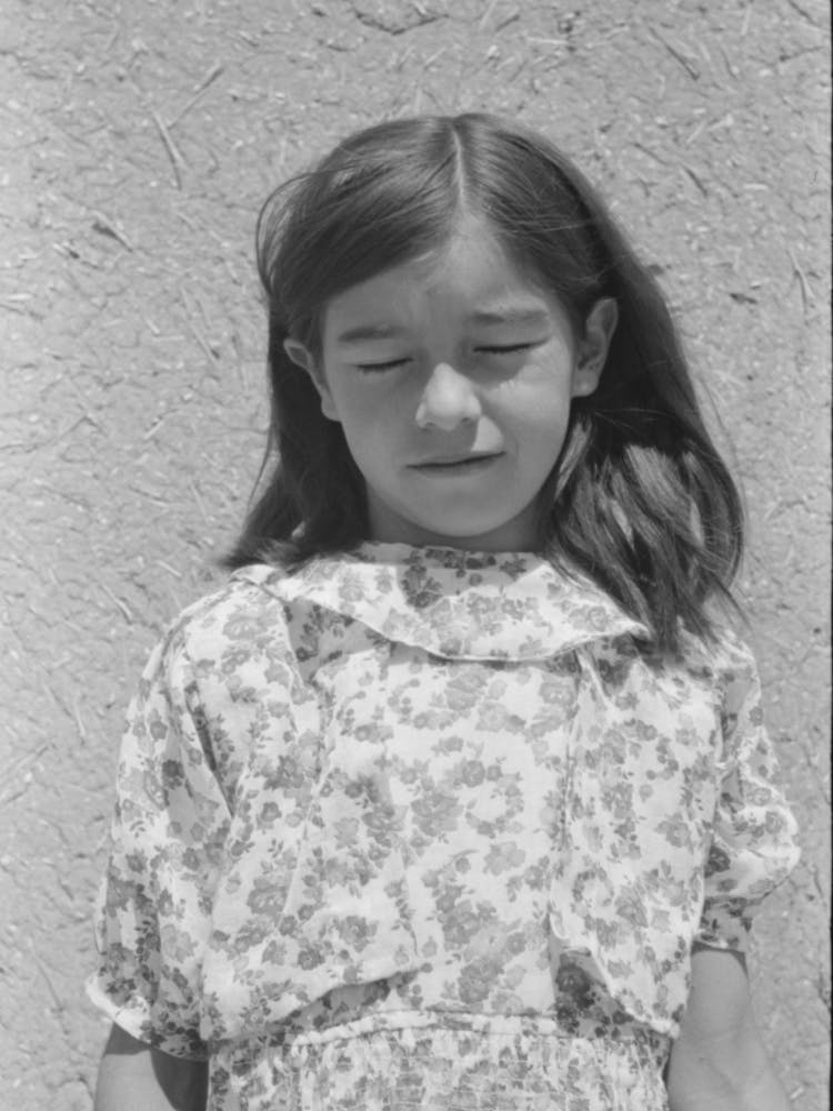 Untitled Photo, Possibly Related To Spanish American Girl, Chamisal, New Mexico By Russell Lee