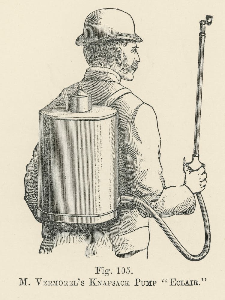 Vintage Illustration Of Eclair, Vermorel S Knapsack Pump, John Wright