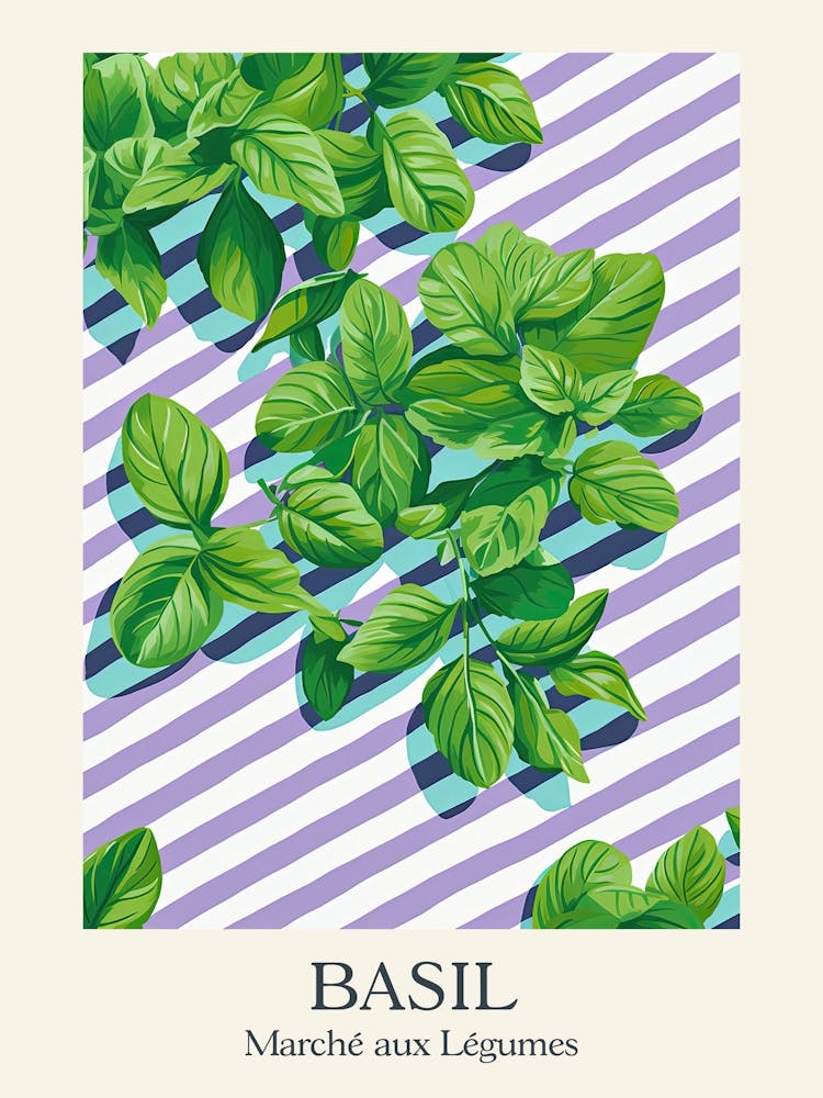 Marche Aux Legumes Basil Summer Illustration 7