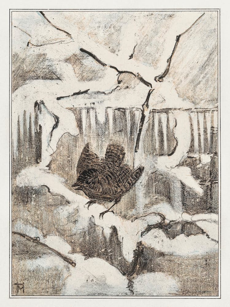 Winter King On A Snowy Branch (1878–1907), Theo Van Hoytema