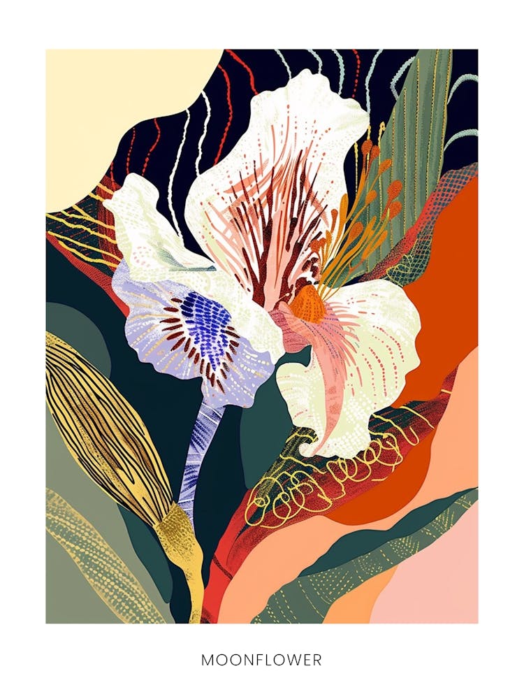 Affiche illustration de fleur colorée - Belle-de-nuit 2