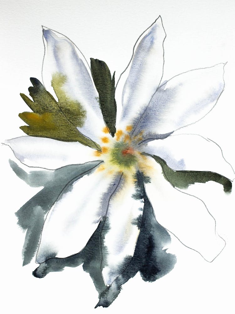 Bloodroot 1
