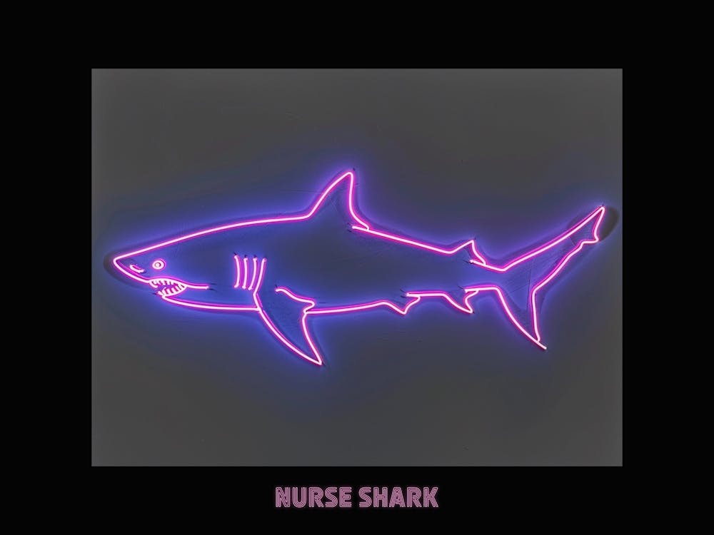 Neon Pink Nurse Shark 5 Poster