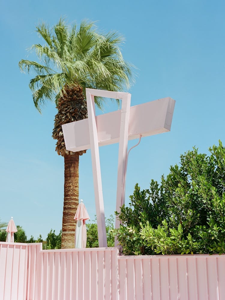 Pink Palm Springs III on Film