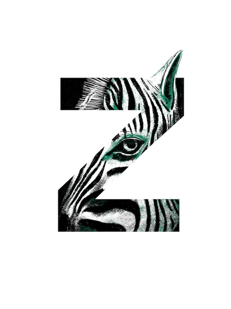 Z Is For Zebra 