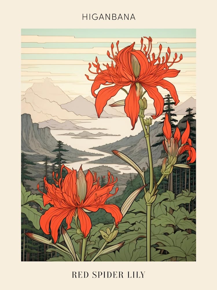 Higanbana Red Spider Lily 2 Japanese Botanical Illustration Poster