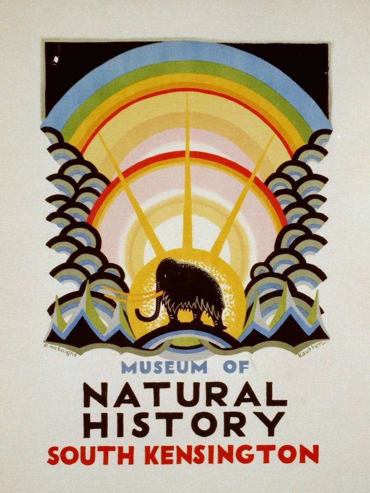 Natural History Museum Kensington