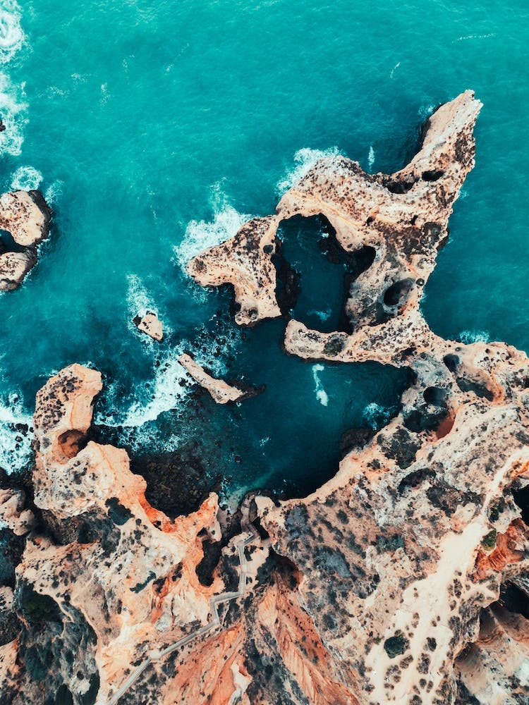 Wild Waves