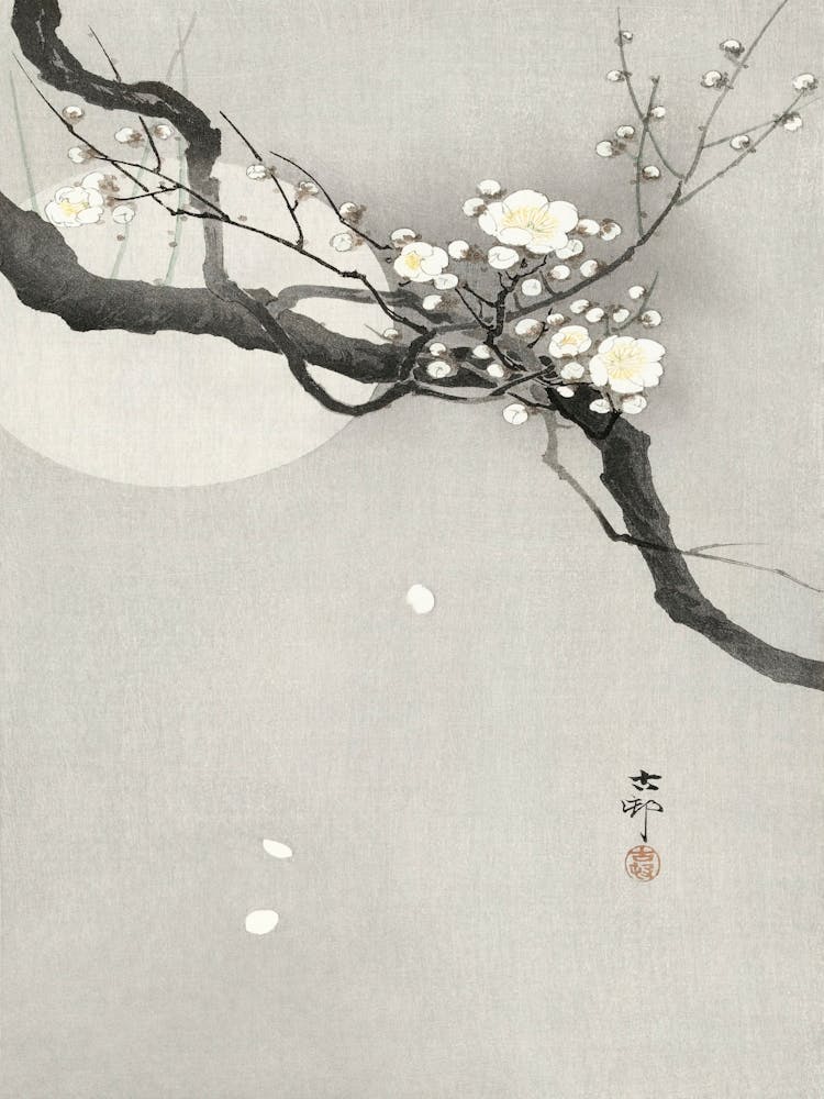 Plum Blossom And Full Moon (1900 1936), Ohara Koson