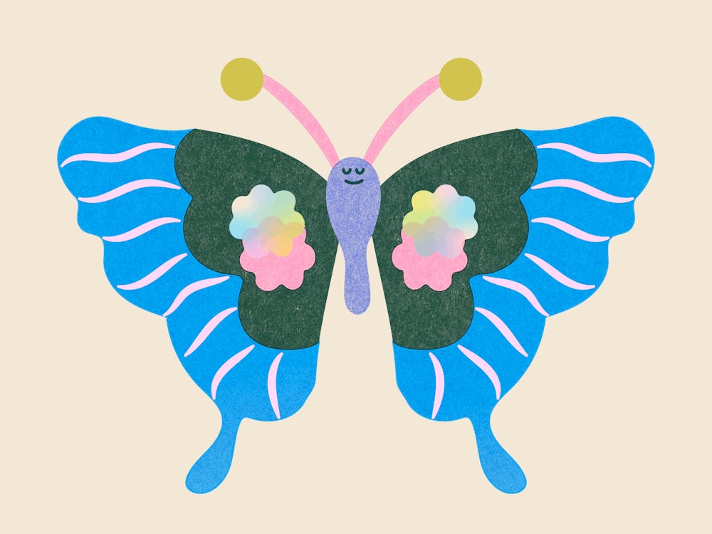 Rainbow Blue & Pink Butterfly Animal for Nursery