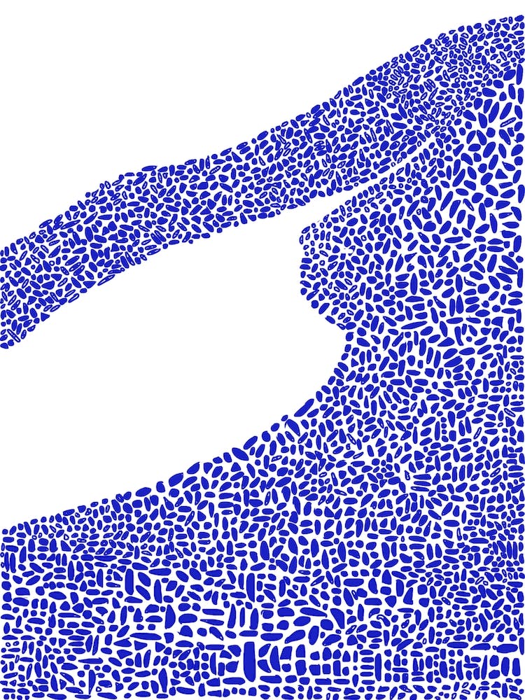 Fluid