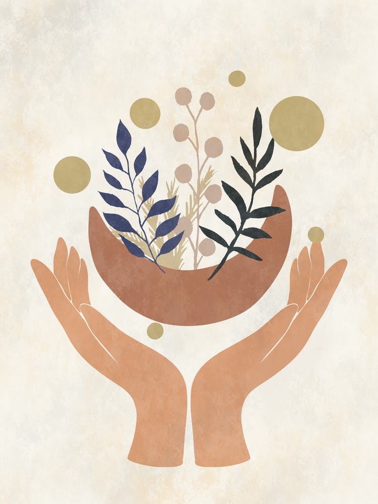 Hands Holding A Bowl Of Plants