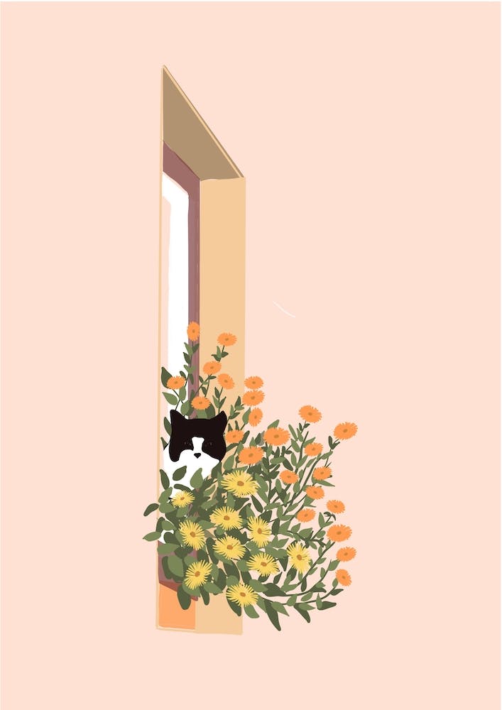 Cat In Window On Pink