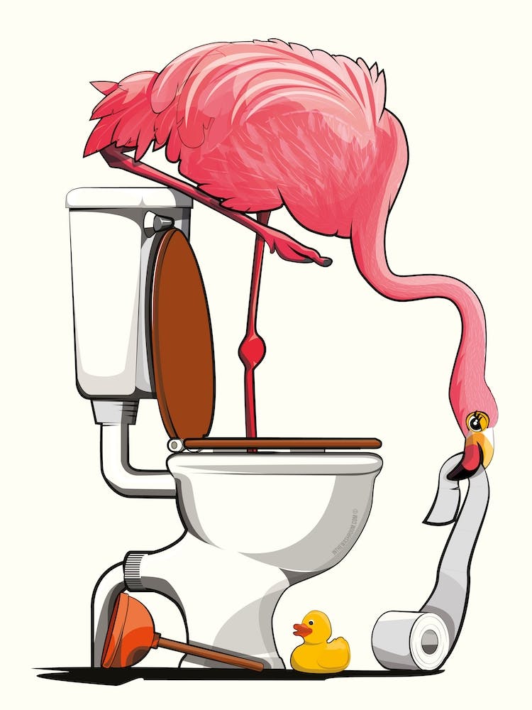 Flamingo Standing In Toilet
