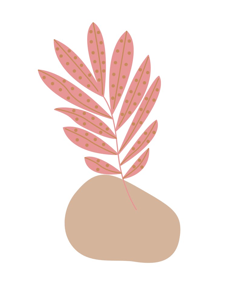 Pink Leaf On A Rock