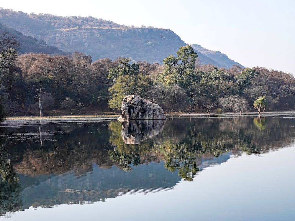 Mirrored Reflection
