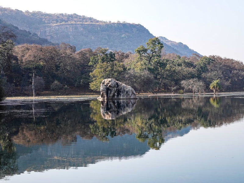 Mirrored Reflection