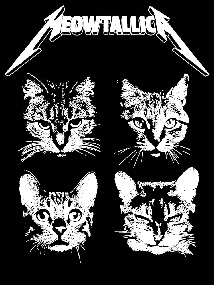 Metallica Katzen