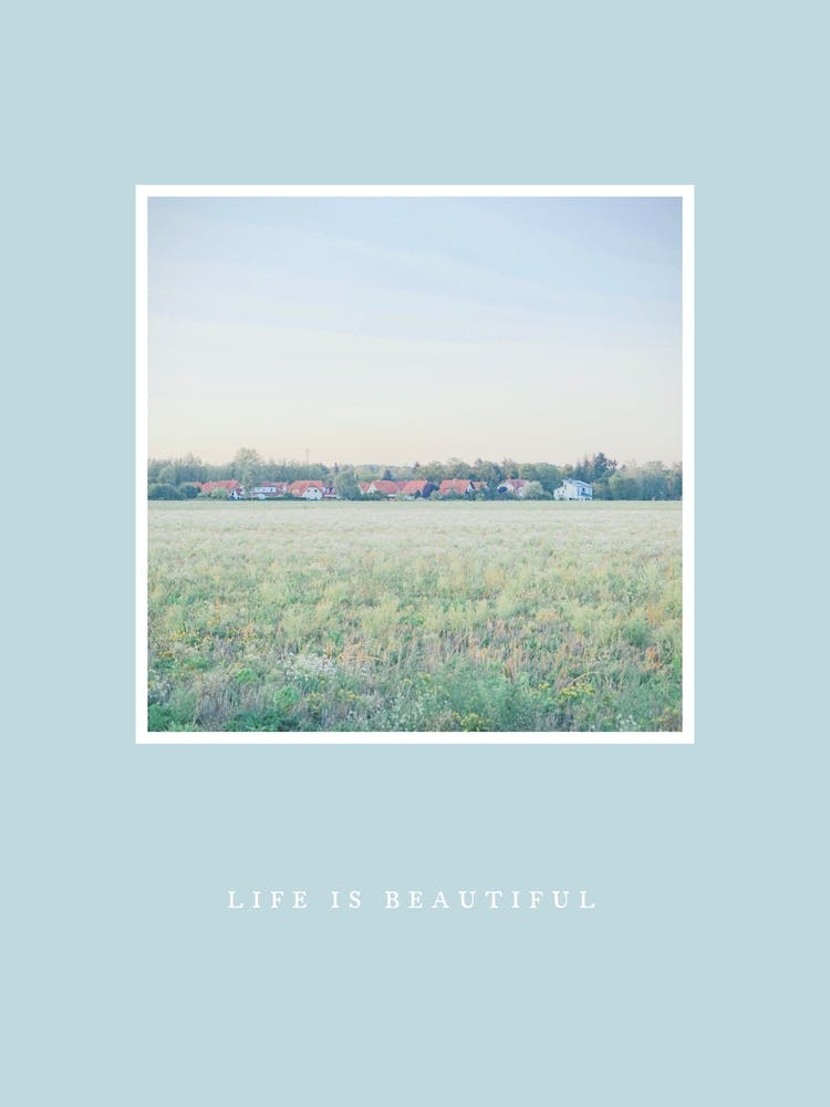 Life Is Beautiful - Nature Landscape